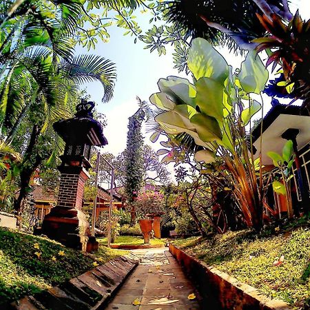 Surf Doggie Inn Kuta  Luaran gambar